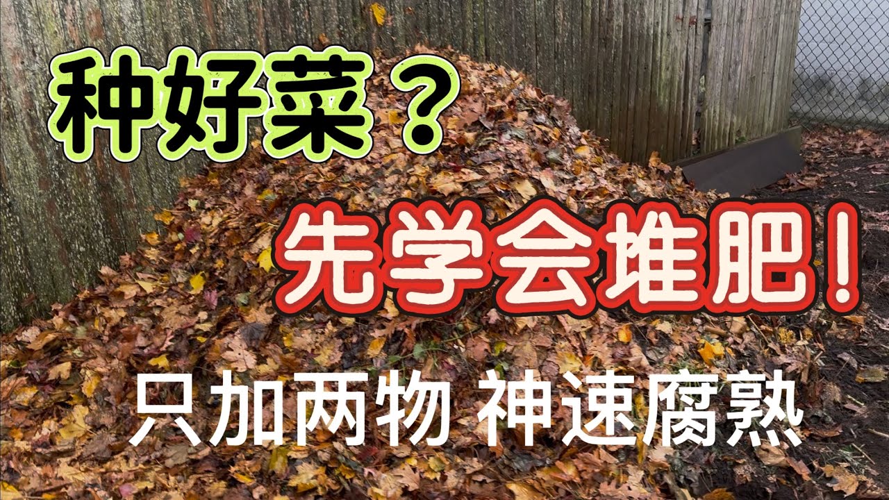 想种好菜，必须先学会堆肥￼。只加两物，神速啊