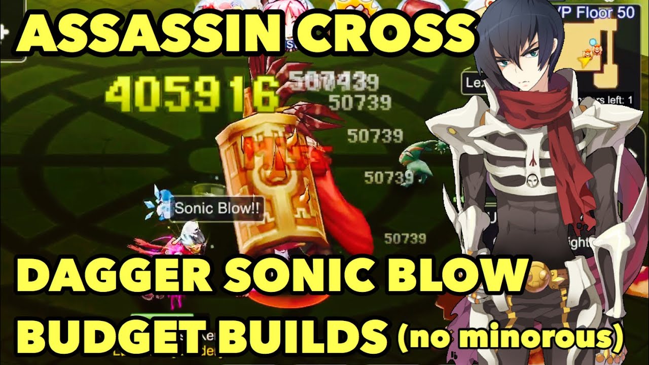 Assassin Cross Dagger Build (Sonic Blow type) 🔥 Ragnarok M Eternal Love