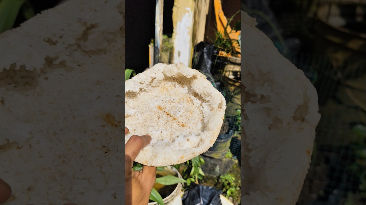 ada orang ngejemur apa ya #trendingshorts