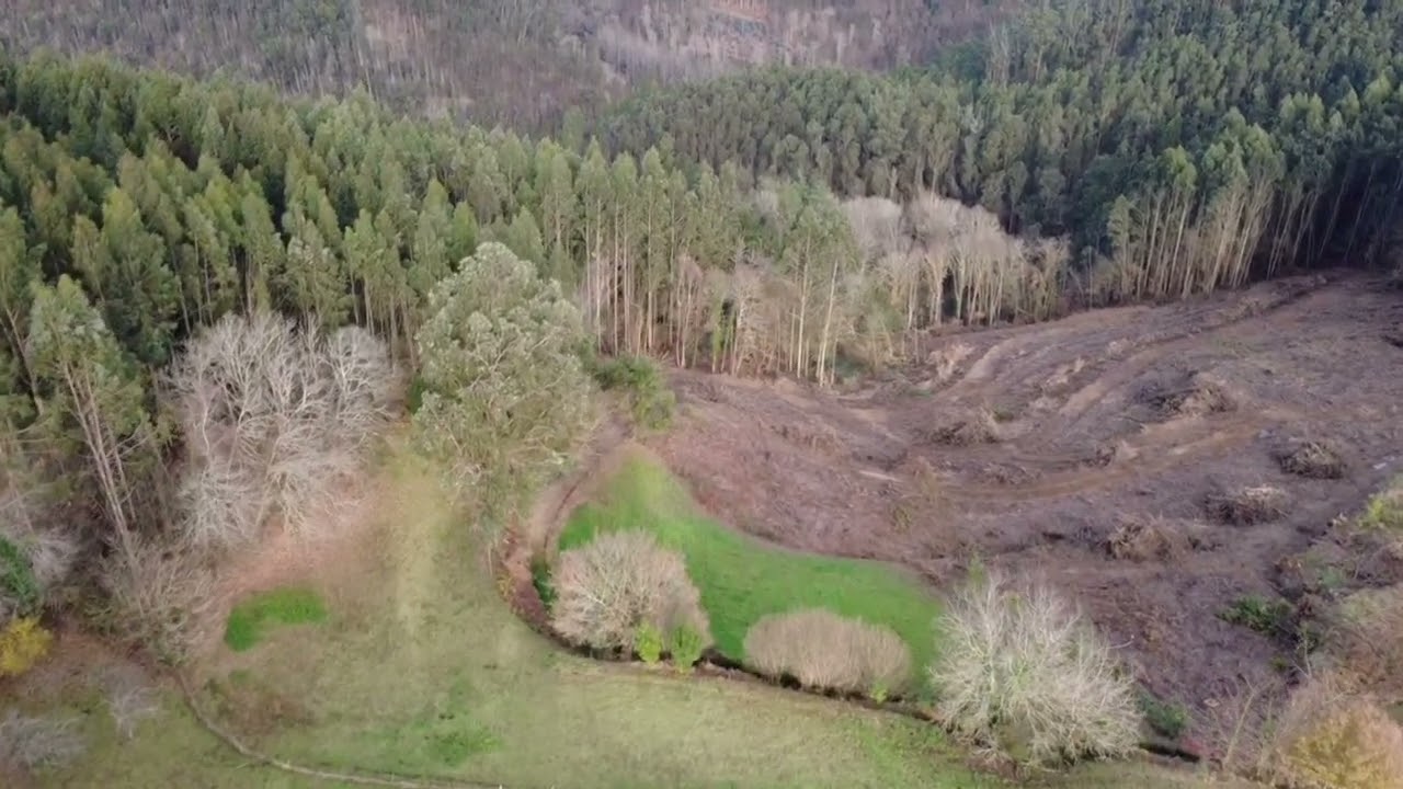 Selgas de Abajo: la Asturias que enamora desde el aire