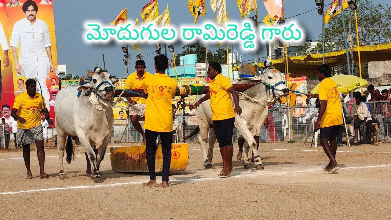 చిలకలూరిపేట గ్రామం న్యూ కేటగిరి విభాగం 19వ జత  💥
