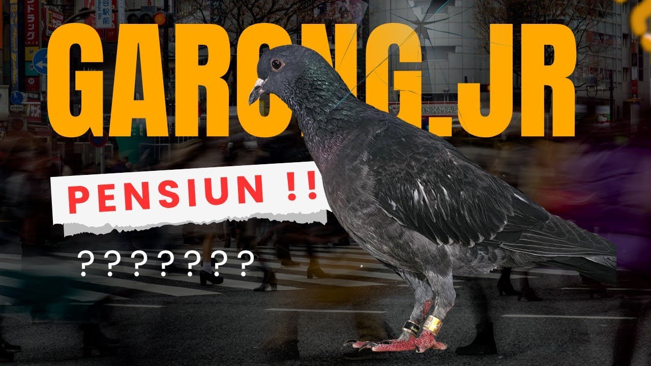 🔴GARONG JR PENSIUN‼️BERIKUT BEBERAPA VIDEO TOP PERFORM GARONG JR