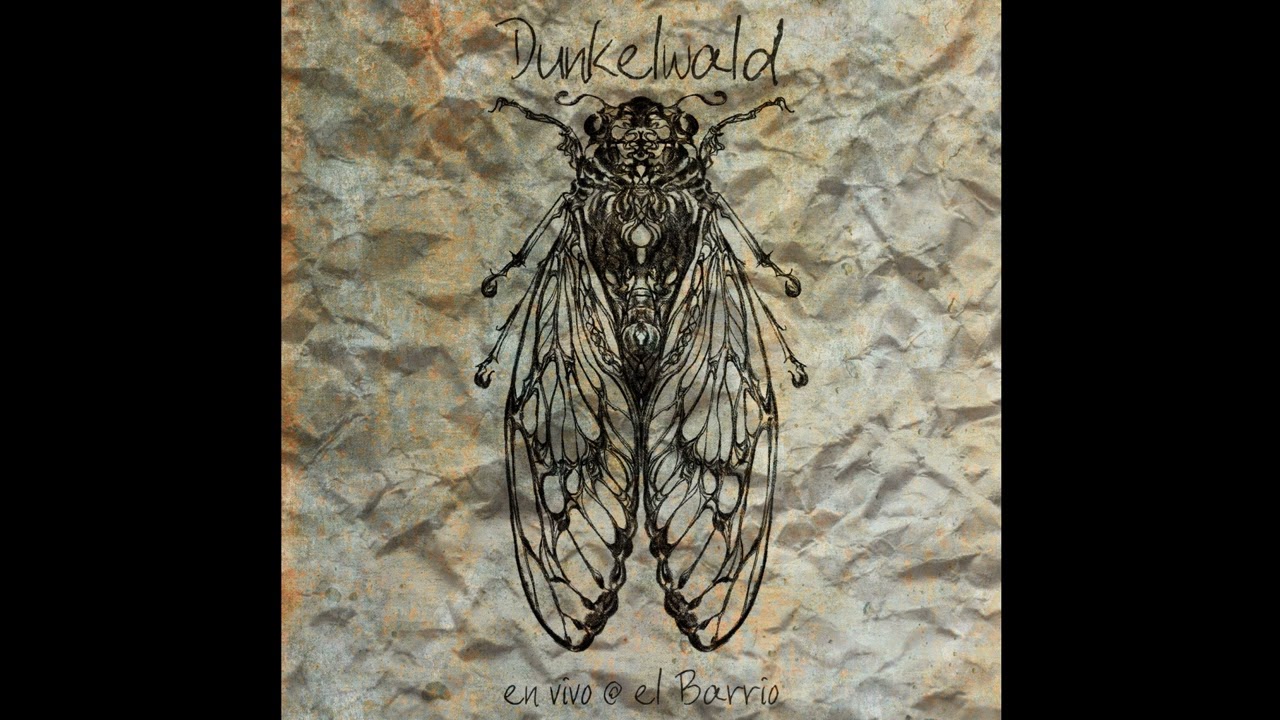 Dunkelwald - Ruinas (live 2024 | El Barrio, Torino)