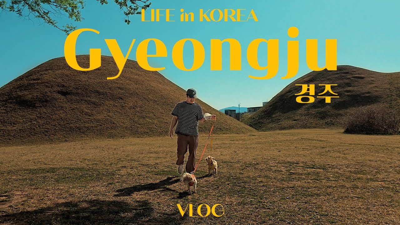 Trip to GYEONGJU! 2 Days in Gyeongju in Spring! Korea Vlog