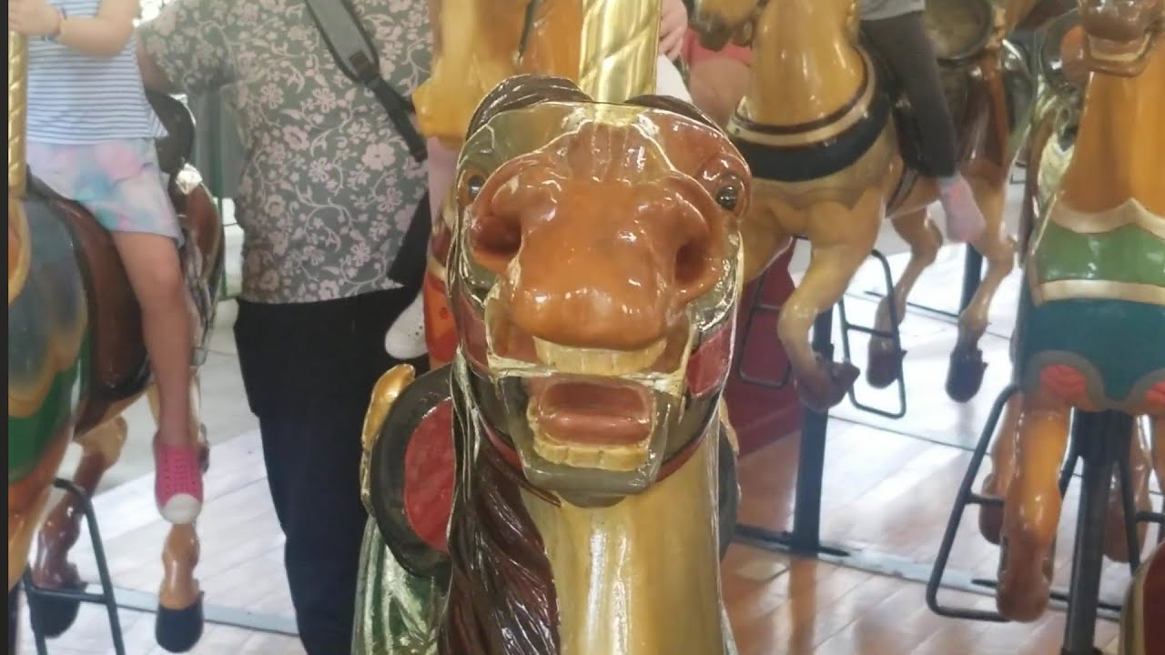 Columbus Zoo Carousel KingKeilani Ride Golden Horses 1914 2023 153 organ play American guard