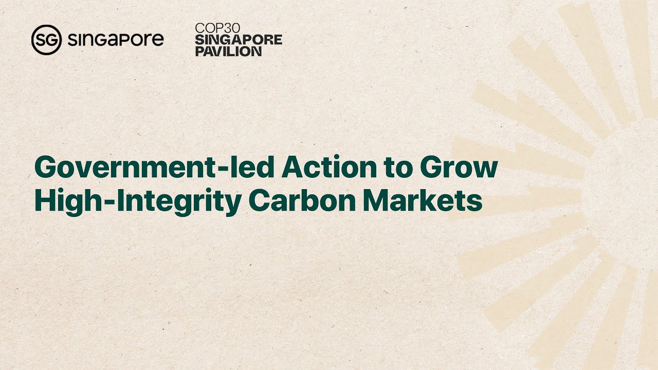[COP30] Government-led Action to Grow High-Integrity Carbon Markets