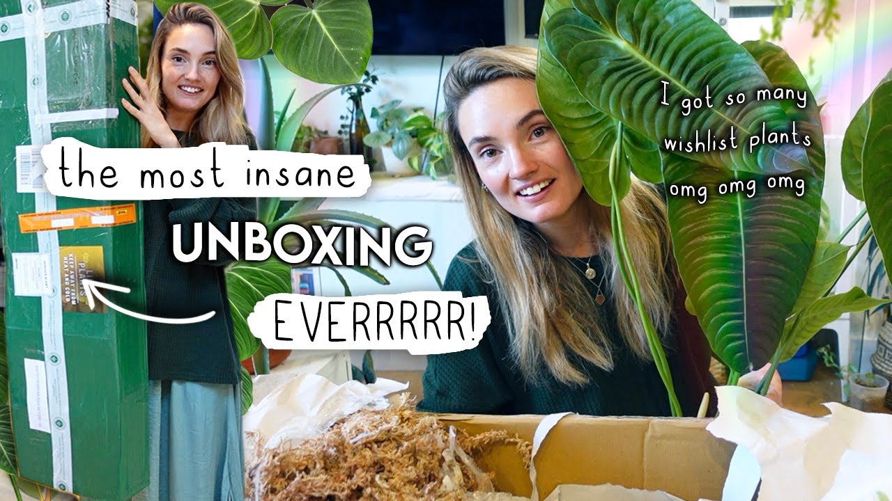 i'm still in shock... AMAZING Rare Plant Unboxing 🌱 Aroid Market Houseplant Haul