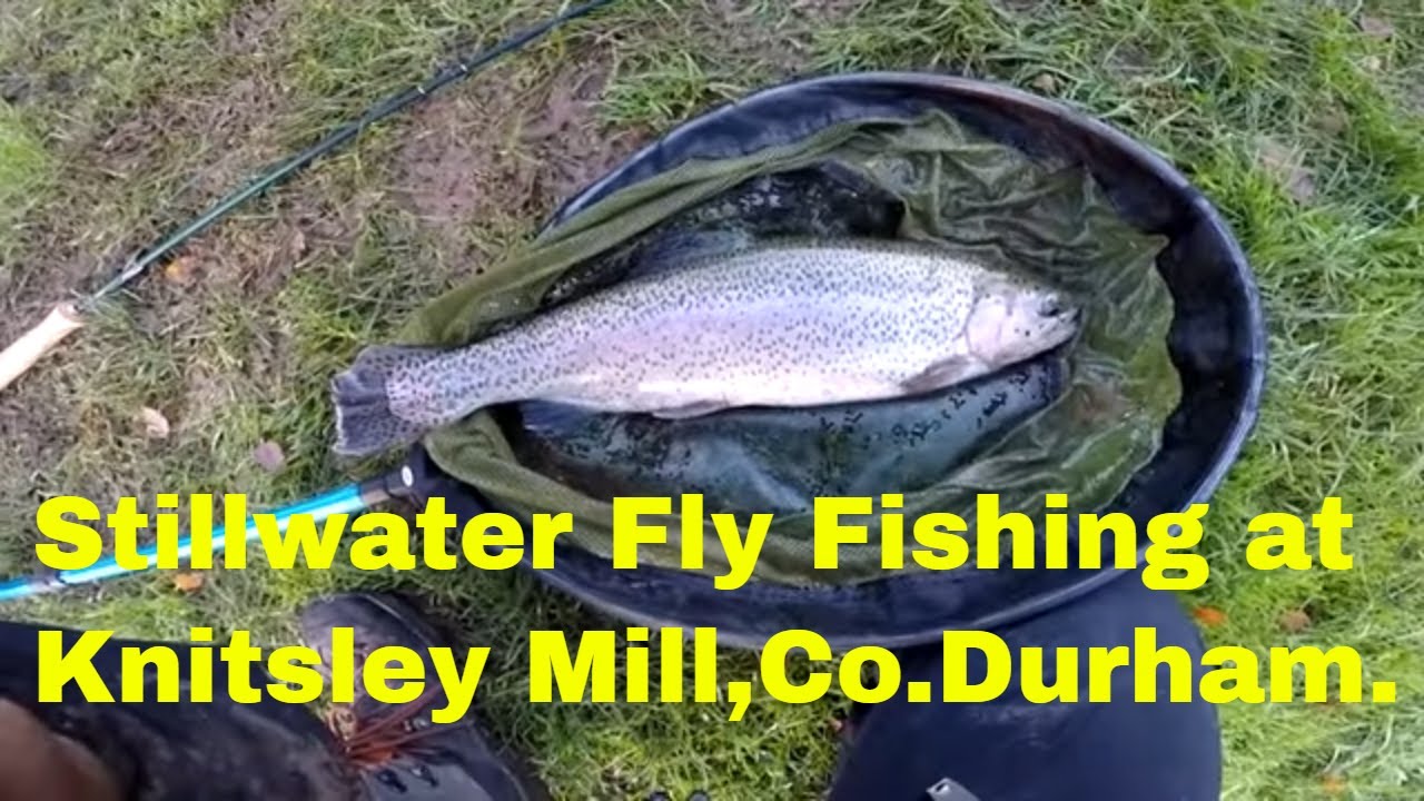 Stillwater Fly Fishing At Knitsley Mill In Co. Durham