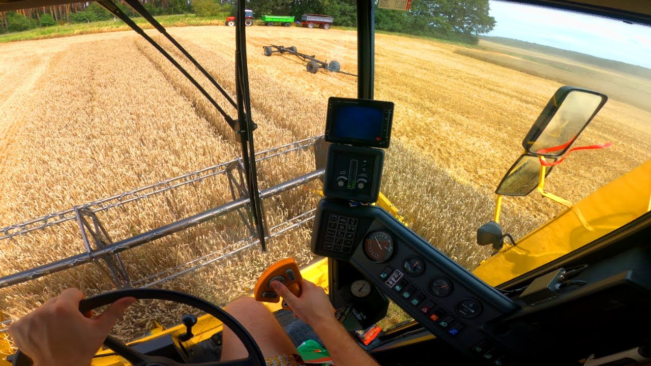 NEW HOLLAND TC56 / OSTATNIE PODEJSCIE- ODWÓZ NIE DAJE RADY / KOŃCÓWKA ŻNIW  [VLOG 98]