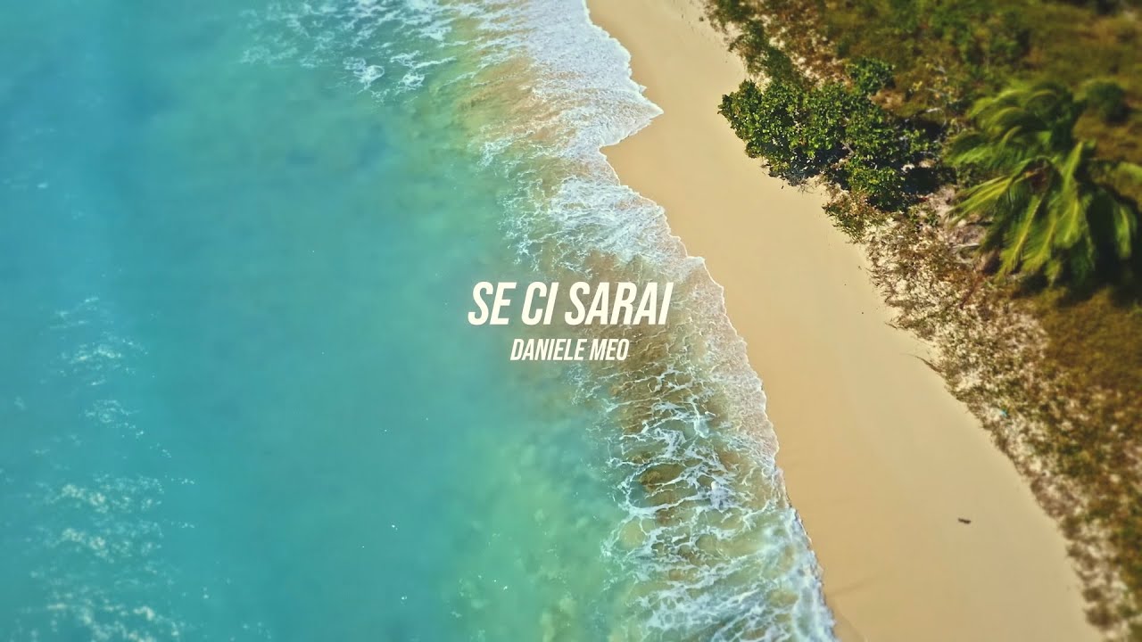 Daniele Meo - Se ci sarai (Lyric Video)