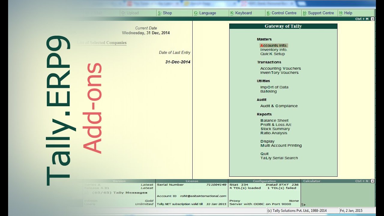 Tally Add Ons : Item-Wise Sales in Tally.ERP9 | Tally Customization