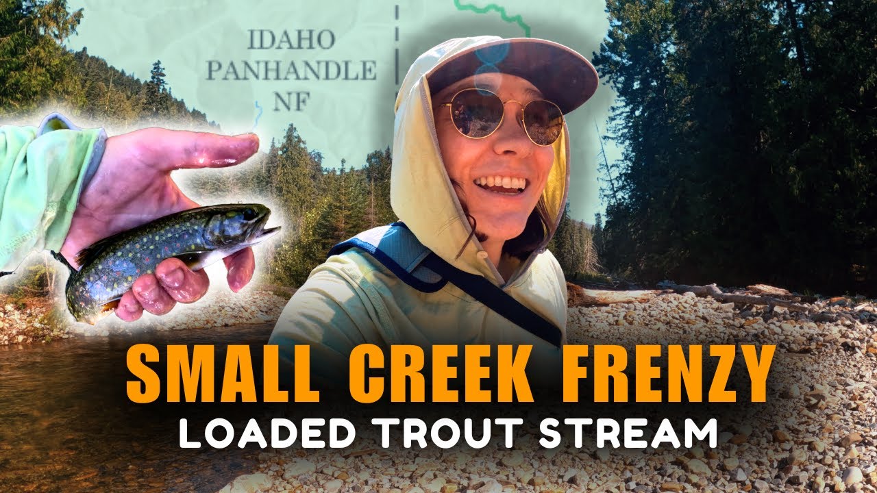 Ultimate Tenkara Fly Fishing and Camping Adventure on LOADED Trout Creek