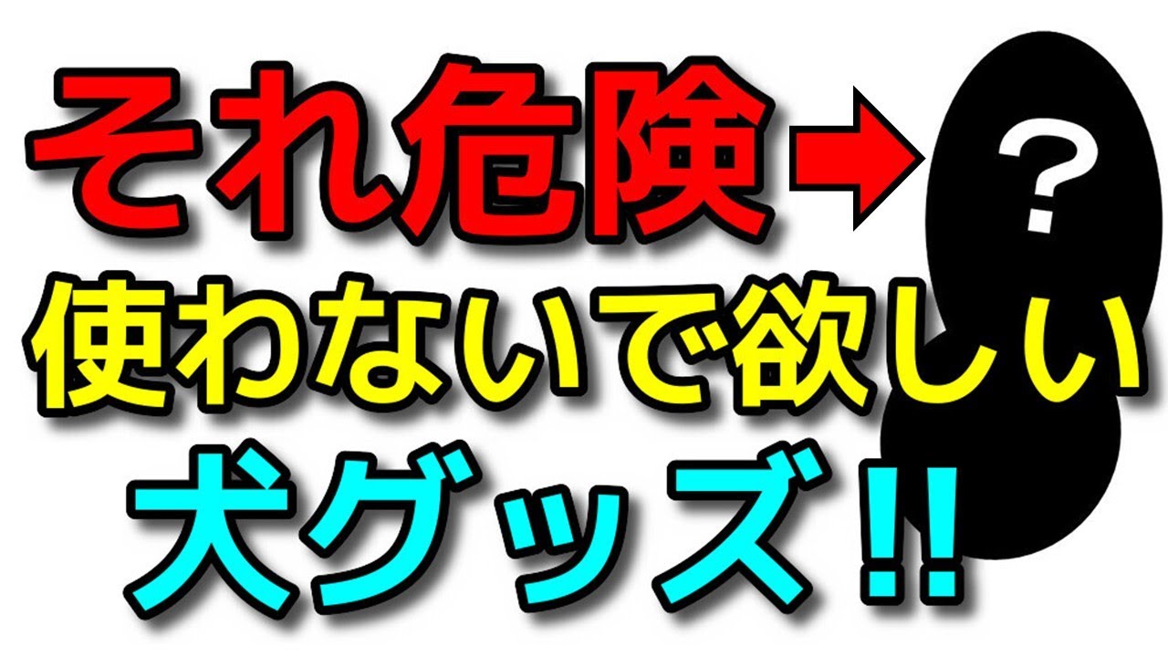 【犬 お留守番】２人１人は使っている！使わない方がいい犬グッズ！犬のしつけエマチャンネル【犬のしつけ＠横浜】