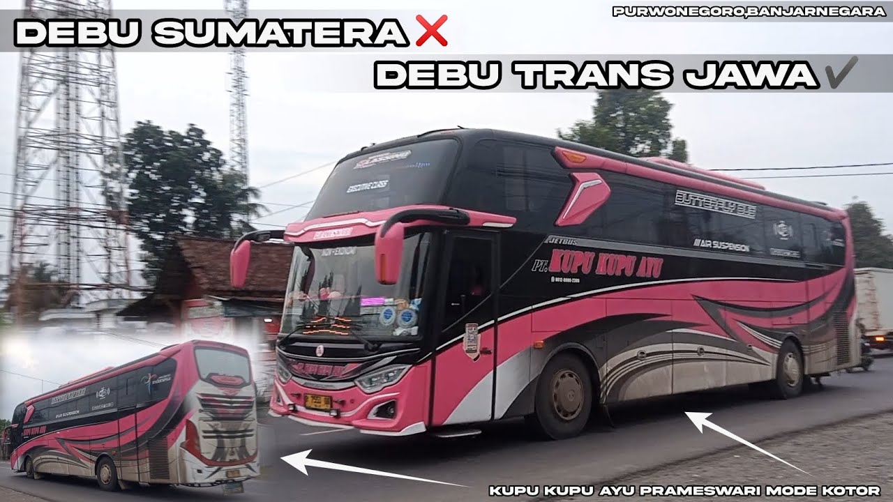 Kupu Kupu Ayu Prameswari Mode Kotor²an 🤣 Liga Malam Senin 👍