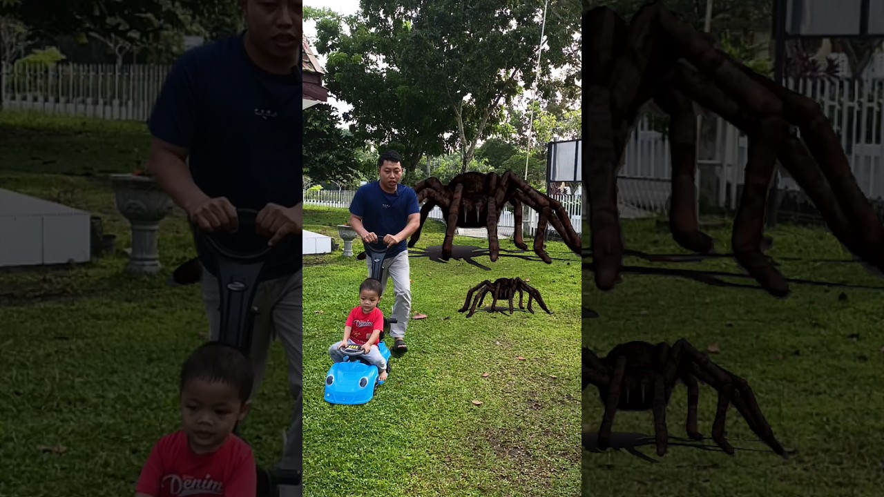 AYAH DAN HANAN DIKEJAR LABA-LABA RAKSASA 