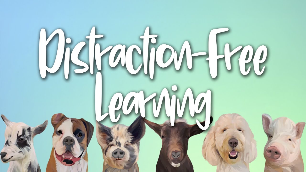 Distraction-Free Learning