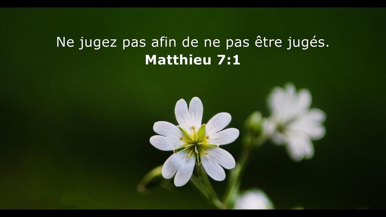 Ne jugez pas, afin de ne pas être jugés