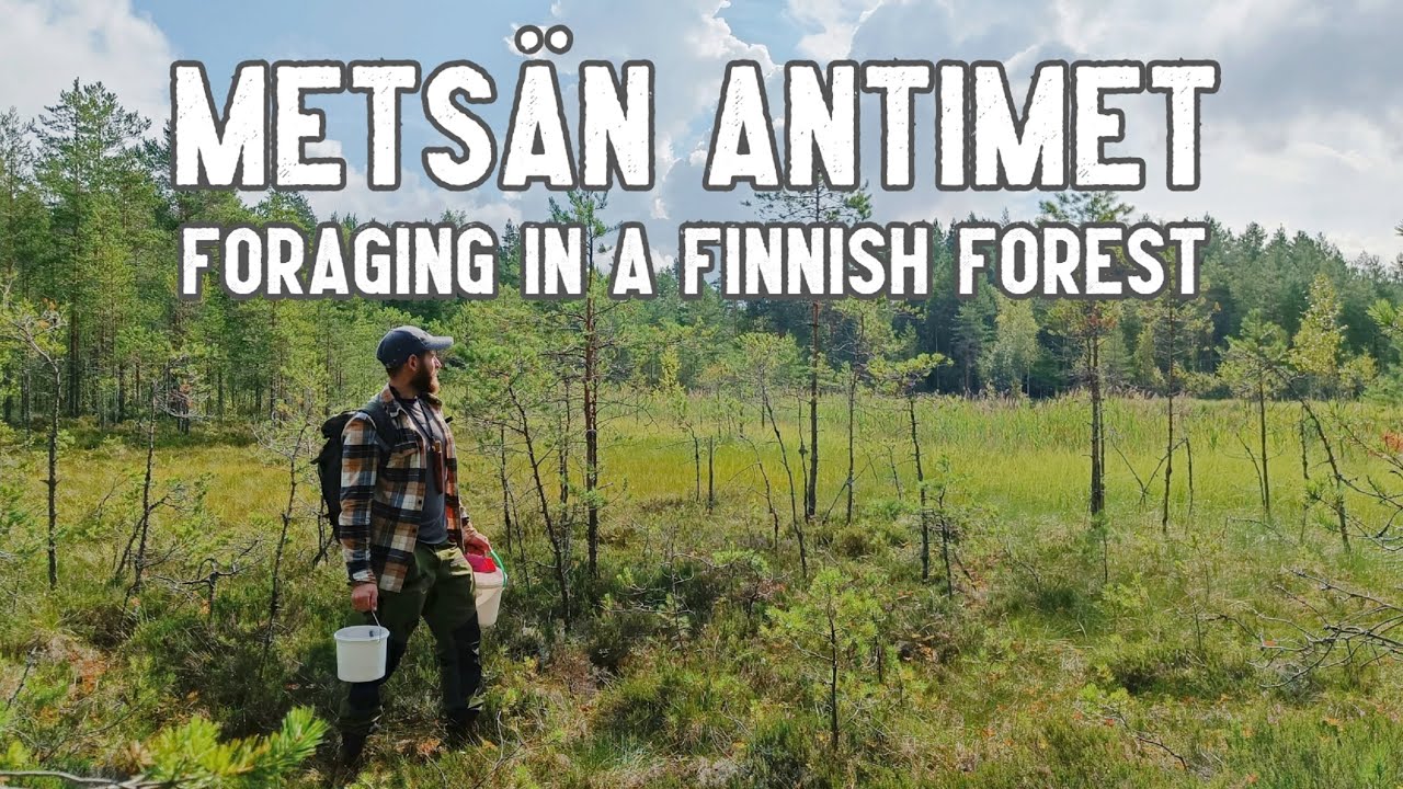 Suomalaisen metsän antimet | Erämaalammen kutsu