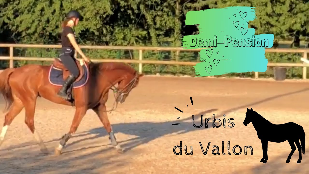 ↠ Semaine de DP avec Urbis du Vallon