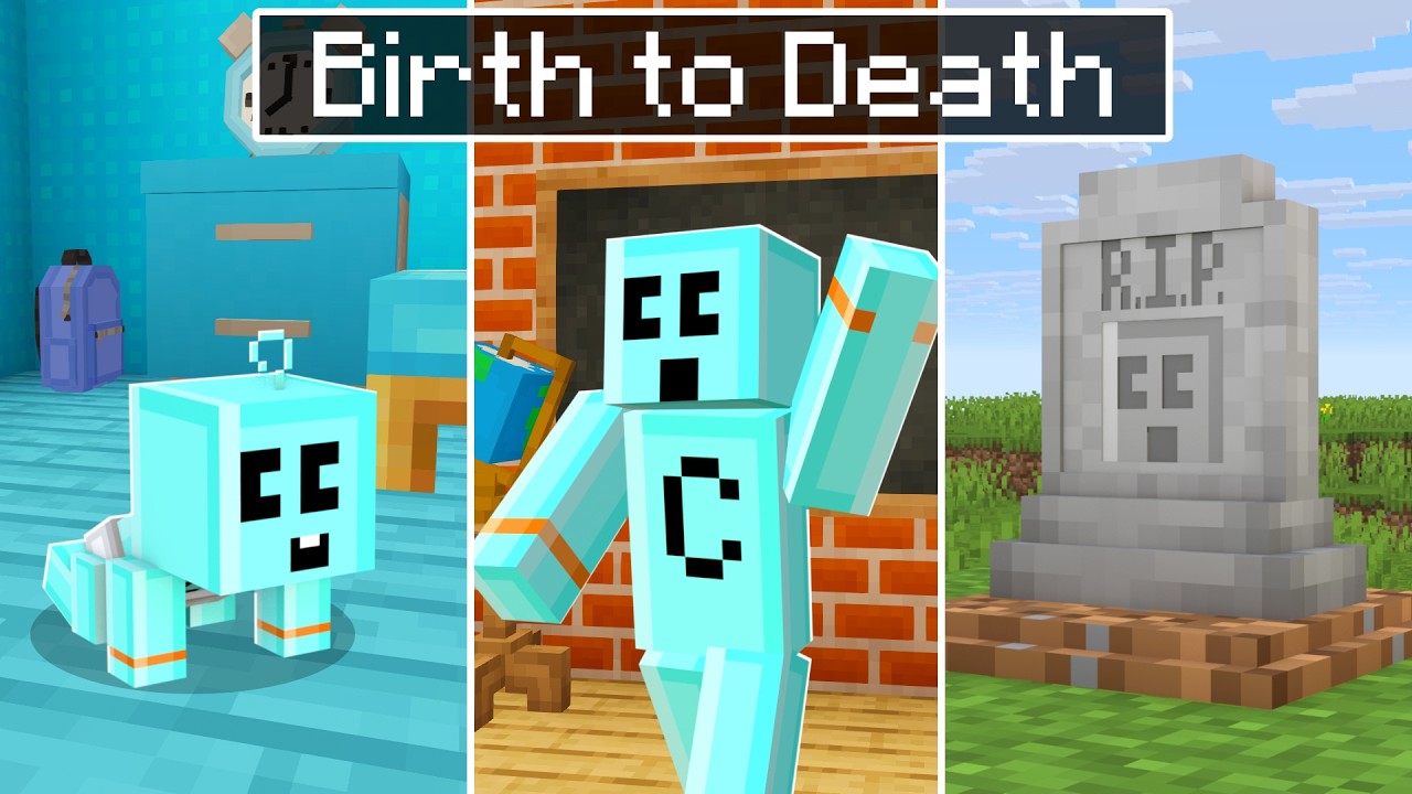 The life of Craftee... Birth to Death