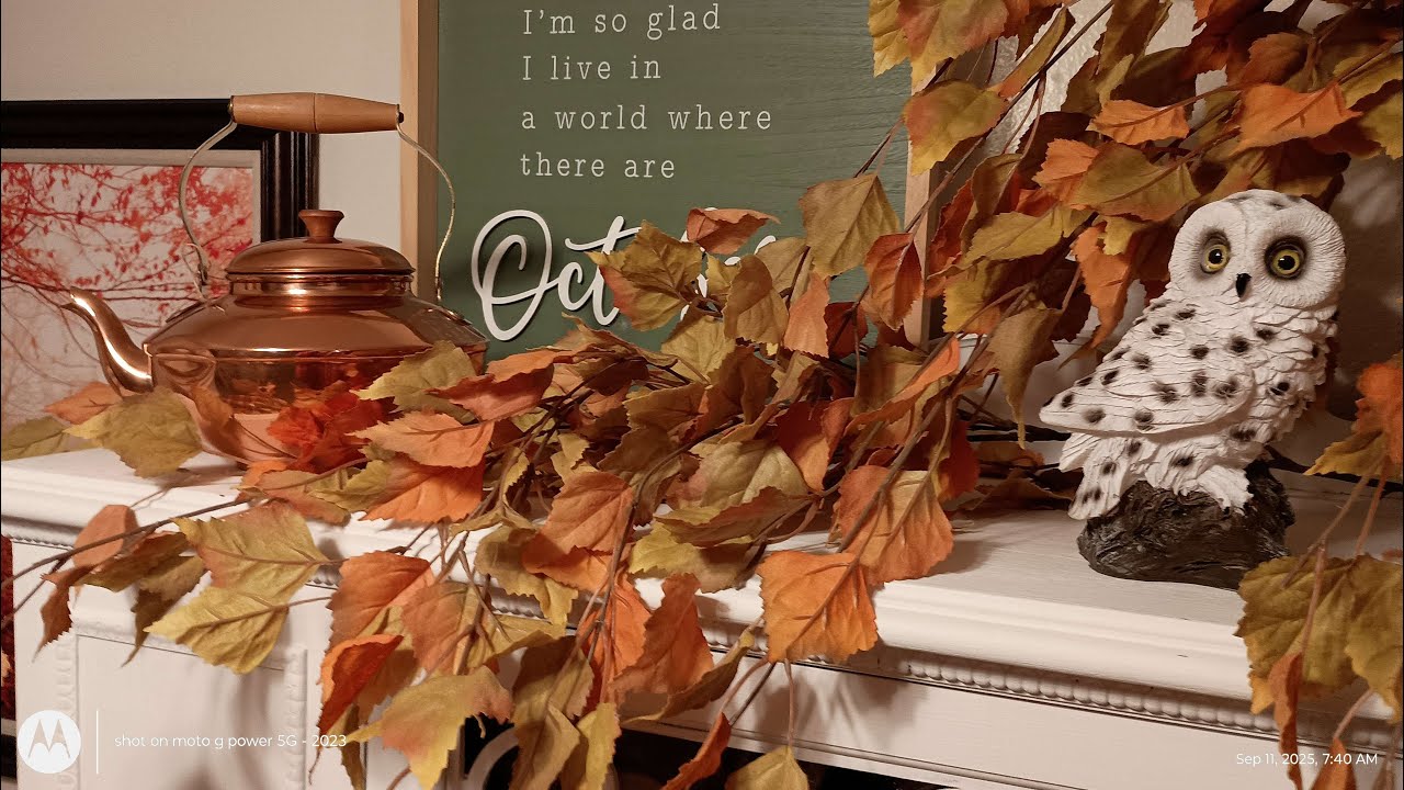 The She Shed Antique Store in Hartford, Wisconsin