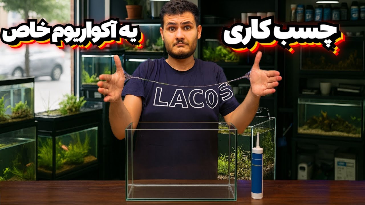 آموزش چسب زدن و ساختن آکواریوم 