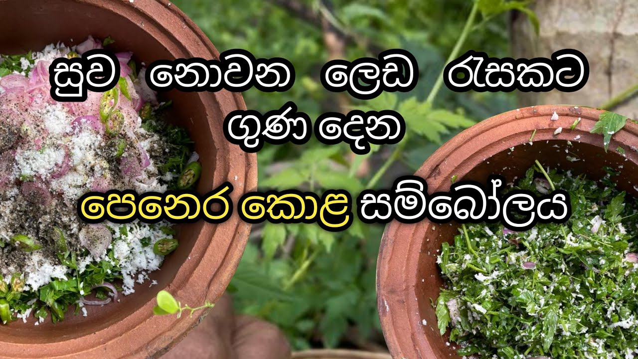 සුව නොවන ලෙඩ රැසකට ගුණ දෙන පෙනෙර කොළ සම්බොලය#subscribe #food #cooking #sambol 