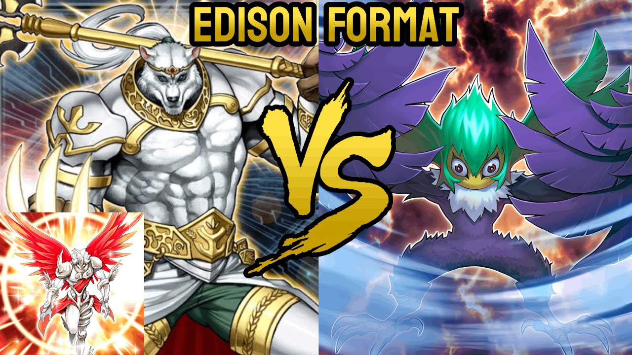 Кристя Лайтсворн против Блэквингс | Формат Yu-Gi-Oh! Edison | Ежемесячный турнир EZGaming