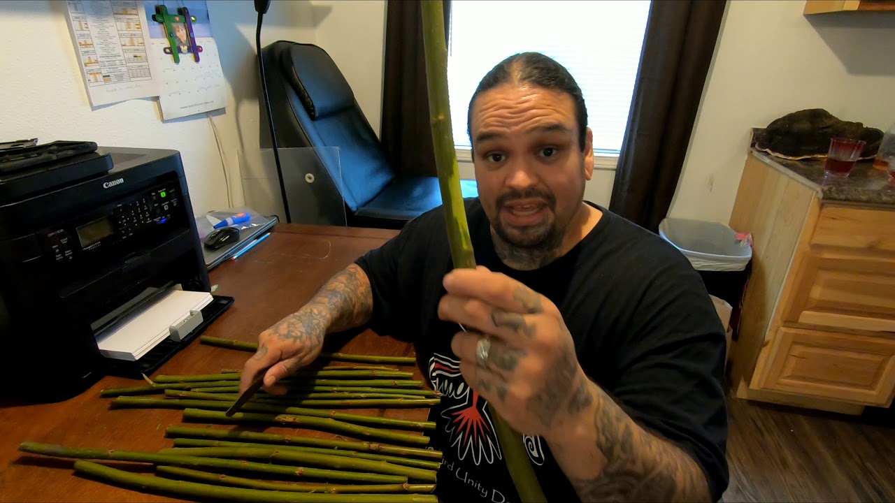 Red Willow youtube 4K