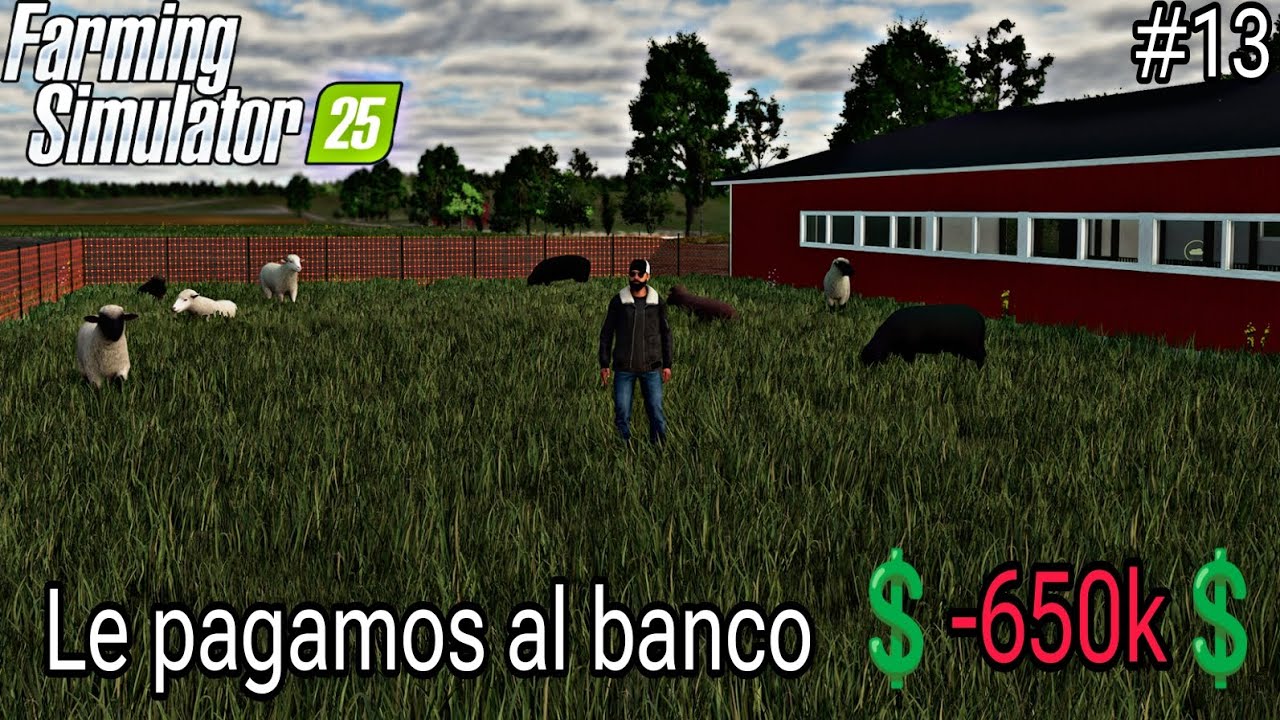 FS25 