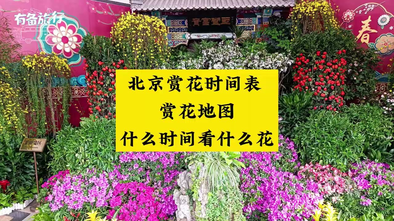 北京每年大致赏花时间表 赏花景点汇总 赏花地图 北京赏花攻略 什么时间看什么花