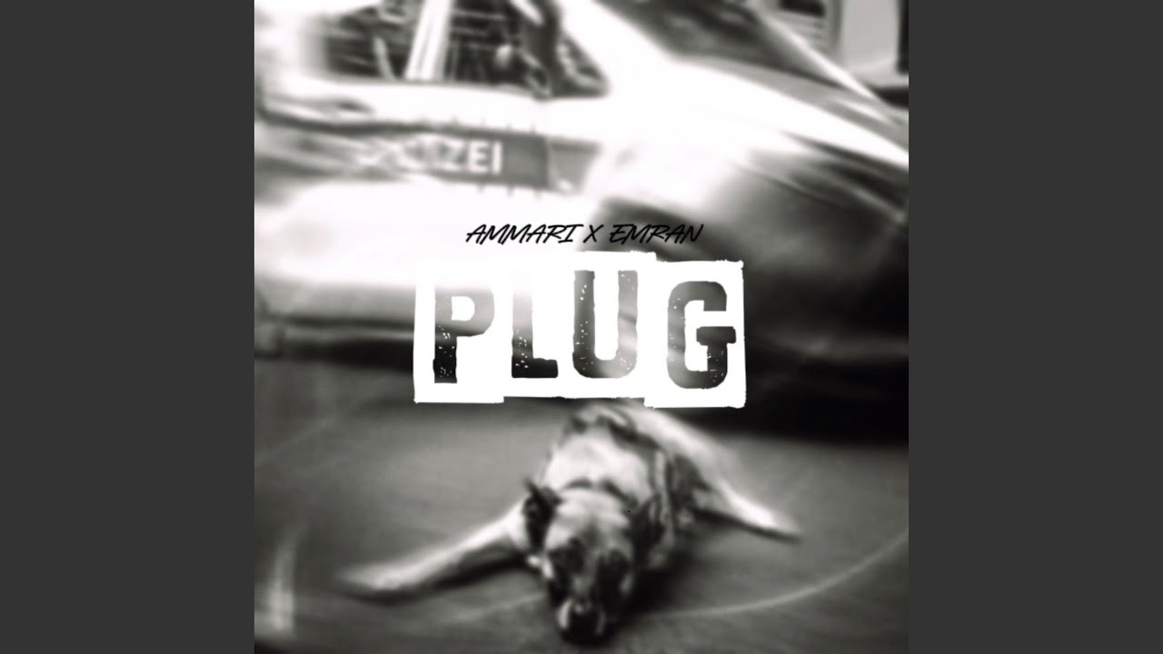 PLUG