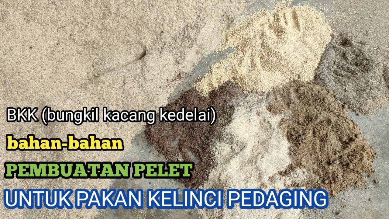 BKK ( BUNGKIL KACANG KEDELAI ) SALAH SATU BAHAN PEMBUATAN PELET KELINCI PROTEIN TINGGI