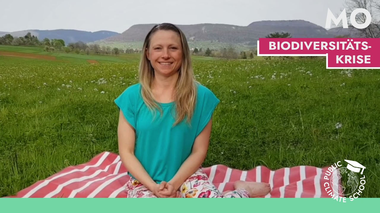 Teaser zu Montag &ndash; Schulprogramm der Public Climate School