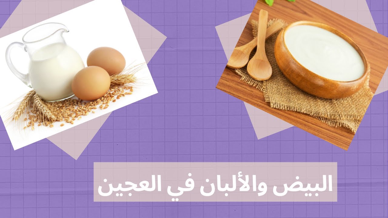 البيض والألبان وتأثيرهم على العجين