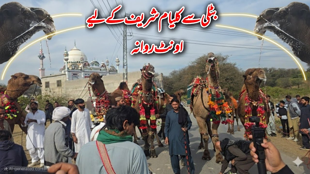 Kalyam sharif mely k liye camel rady