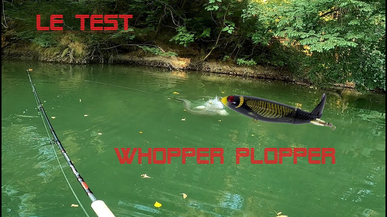 Silure au WHOPPER PLOPPER ! Test validé !