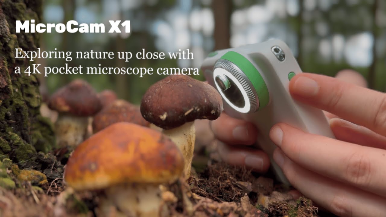 Microcam X1 | How to capture nature with a 4K pocket microscope camera
