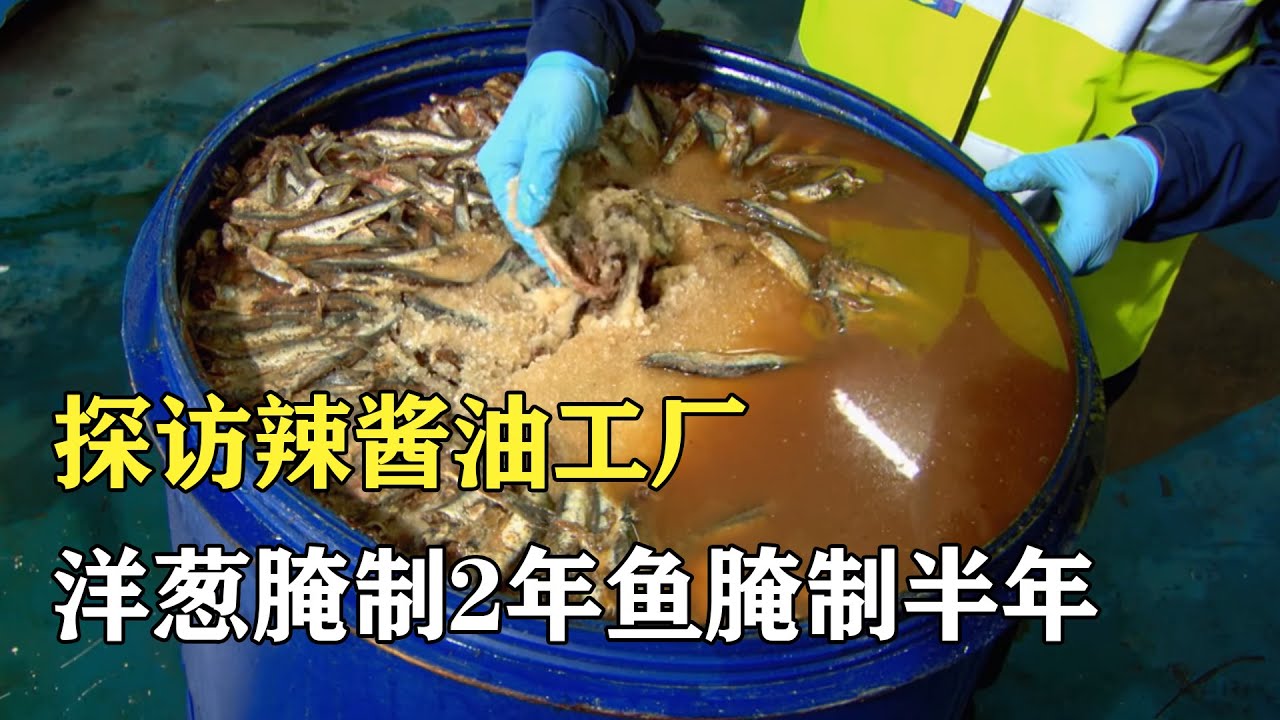 探訪辣醬油工廠：洋葱要醃制2年，魚要醃制半年