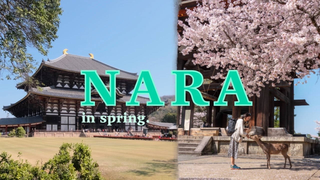 Exploring Nara in Spring! Vegan cafe, temples and pretty cherry blossoms | JAPAN VLOG 42