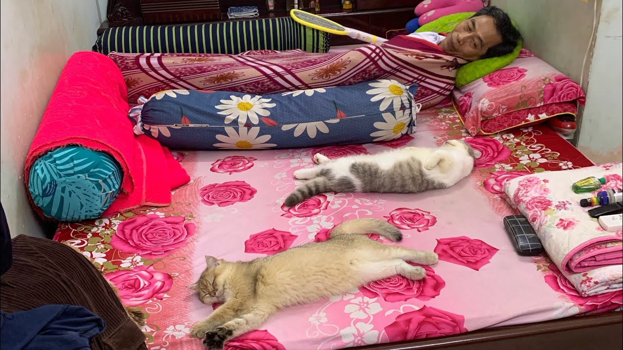 [Meow][240901] | MOONIE | TSUKI