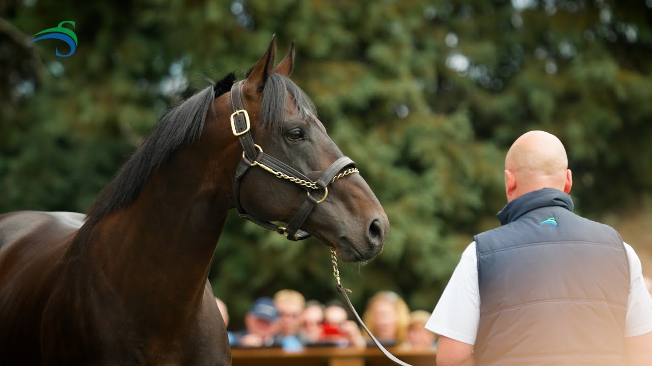2022 Swettenham Stud Stallion Parade