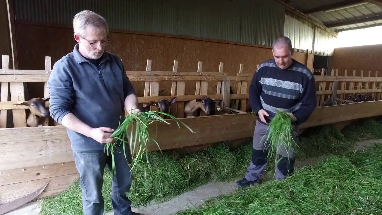 Témoignage CEREL dans le Loir et Cher