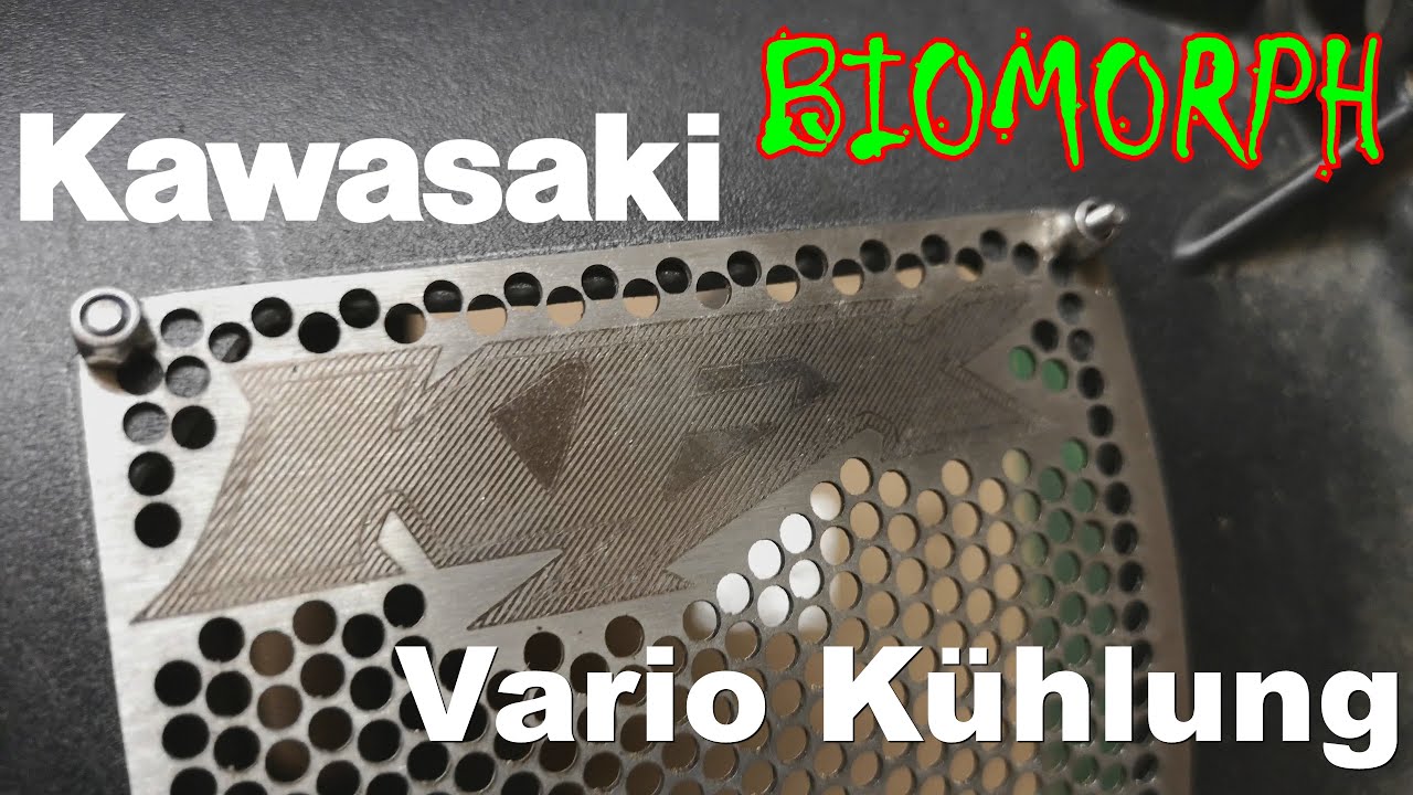 Vario Umbau für mehr Kühlung | Kawasaki KFX 700 V-Force | BI0M0RPH