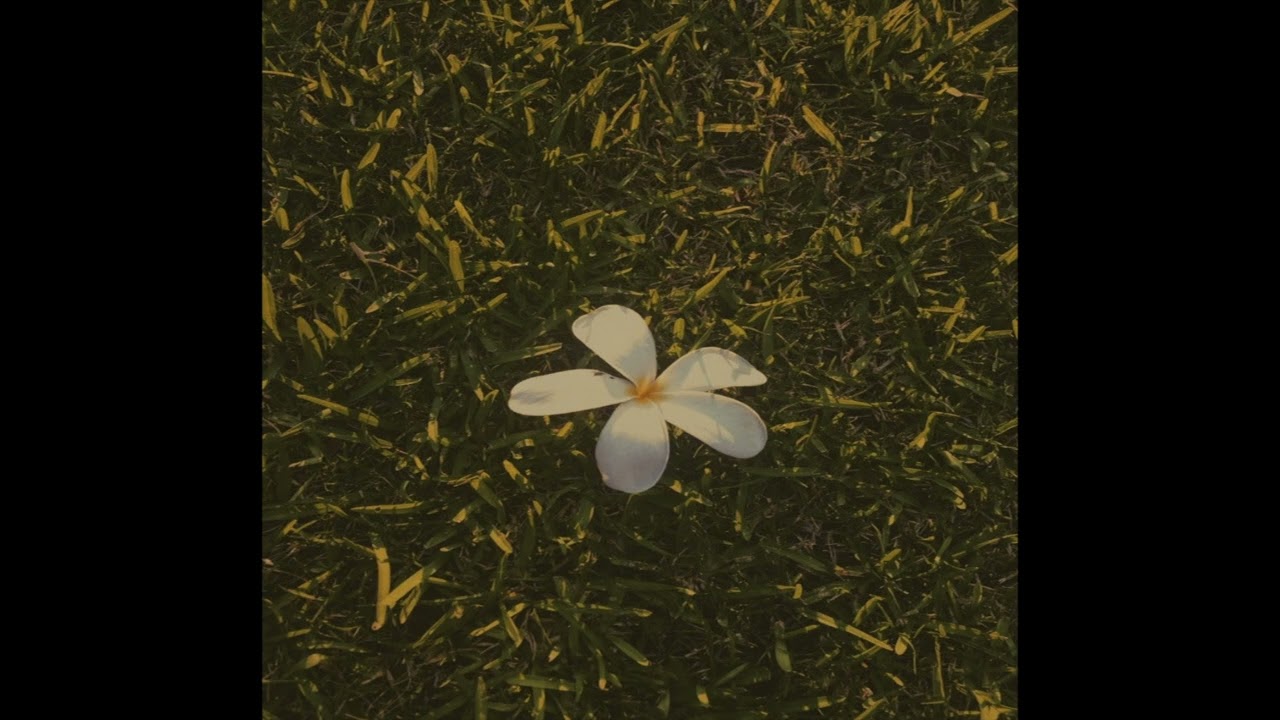 ✰free// 