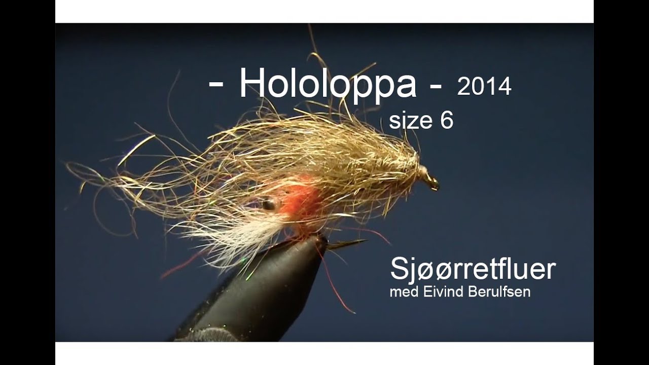 Sjøørretfluer - Hololoppa size 6, 2014. Med Eivind Berulfsen.
