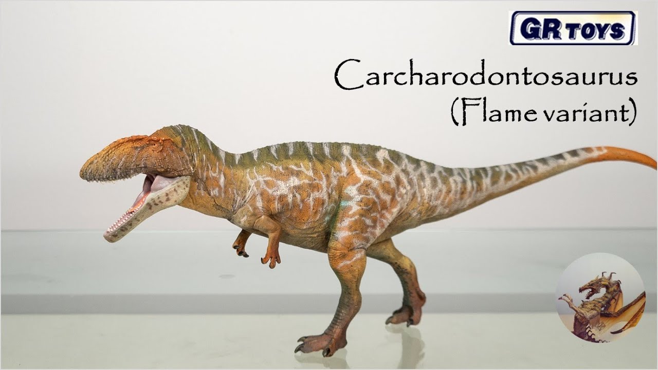 136: GR Toys Carcharodontosaurus (Flame Review)