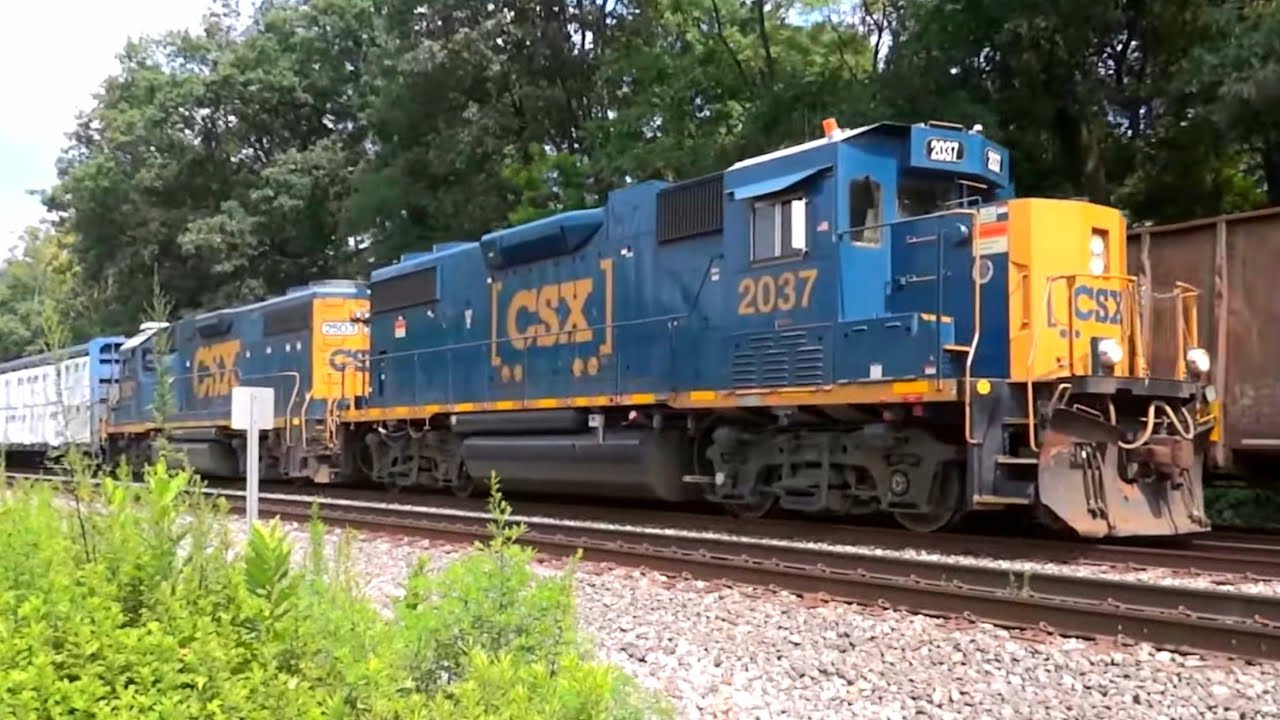 🚄 3 Hours of Random Train & Railfanning Videos 🚄