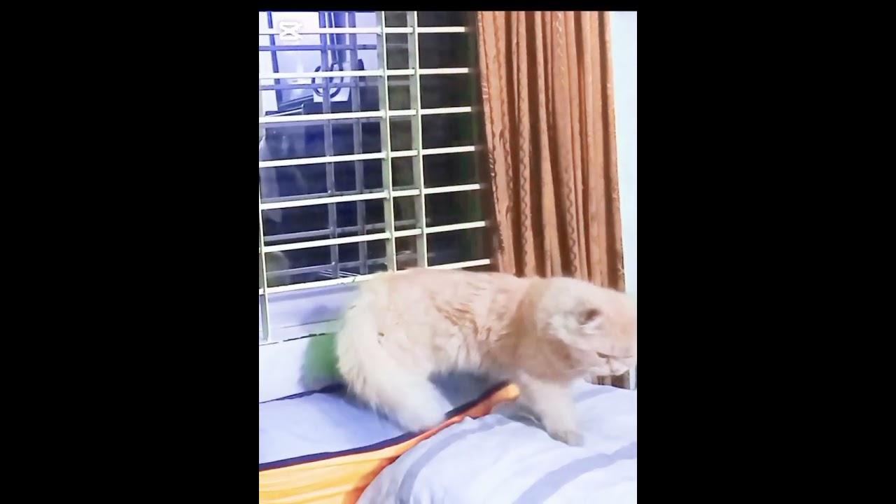 নিজেকে নিট এন্ড ক্লিন রাখে সব সময়.....
