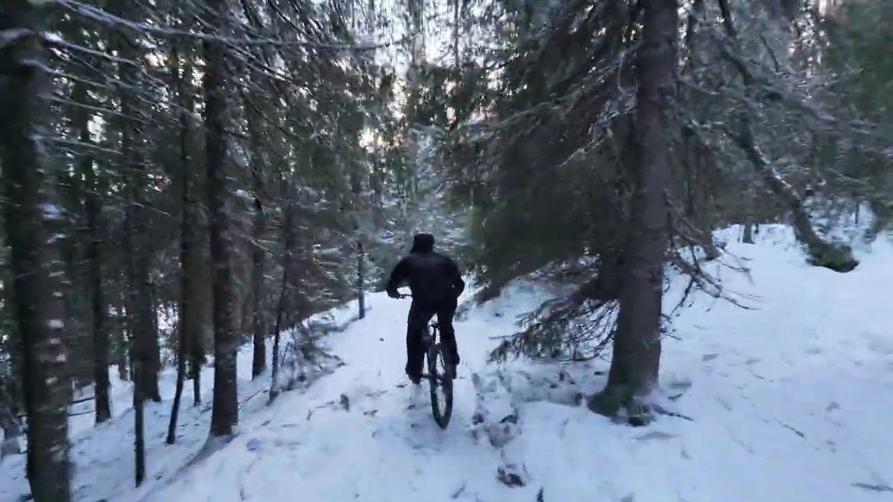 20260214 - Geitfjellet (Krumtappen)